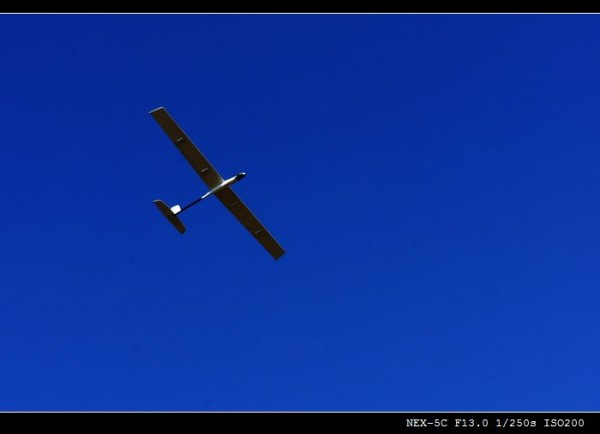 SONY DSC