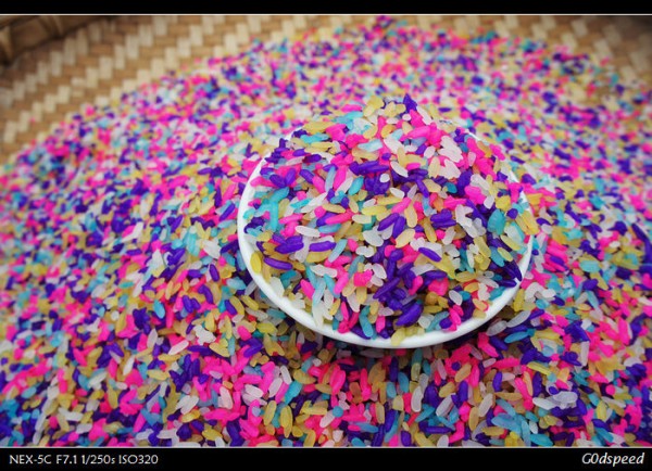 SONY DSC